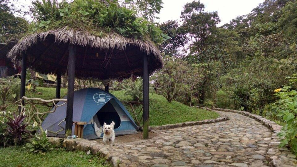 Finca De La Vaca - Family House Hotel Mera Exterior foto